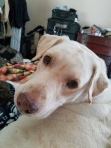 20170629_151843.jpg