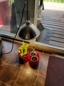 20190516_122557.jpg 20190516_122557.jpg