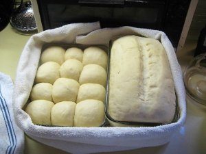 IMG_9809.JPG