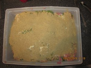 IMG_1536.JPG IMG_1536.JPG