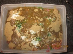 IMG_1537.JPG IMG_1537.JPG