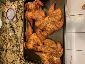 hens.jpg