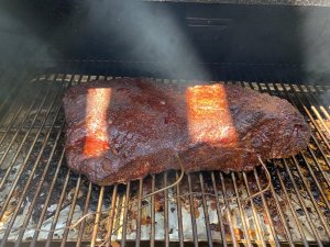 IMG_5115.JPG