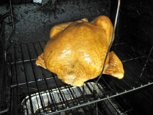 IMG_9879.JPG