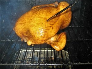 IMG_9884.JPG
