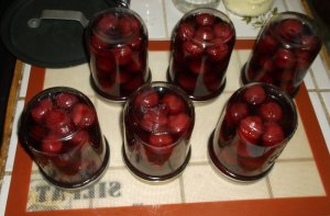 CHERRIES 001.JPG