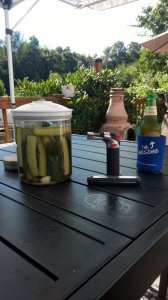 IMG_20190630_165216575.jpg