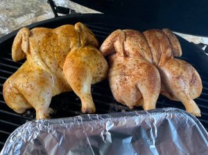 chicken.jpg