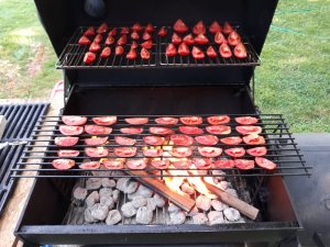 20190810_090049.jpg 20190810_090049.jpg