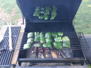 20190810_100309.jpg 20190810_100309.jpg