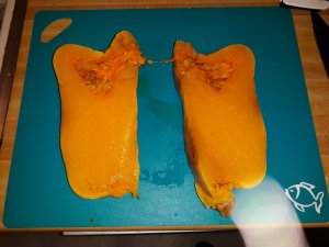 20190811_102441.jpg