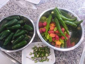 IMG_20190811_152011.jpg