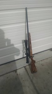 6.5 Creedmoor build.jpg