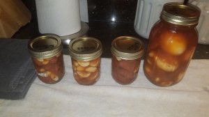 20190824_105138.jpg 20190824_105138.jpg