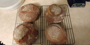 20171111_163003.jpg