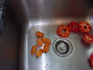100_0142.JPG