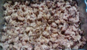 IMG_20190901_185120.jpg