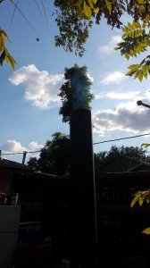 20190915_171743.jpg