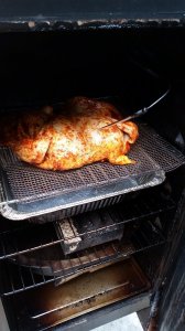 20190930_115835.jpg 20190930_115835.jpg