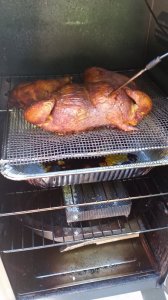 20190930_170610.jpg 20190930_170610.jpg