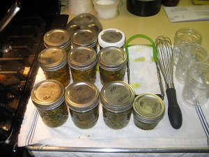 IMG_0238.JPG IMG_0238.JPG
