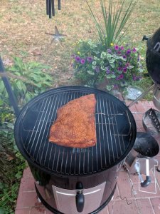 IMG_20191006_071723.jpg