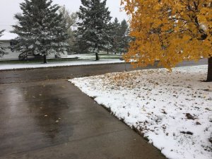 driveway.jpg