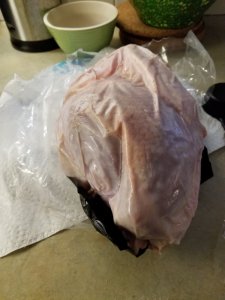Resized_20191014_100803.jpeg