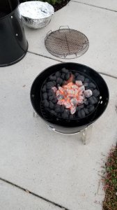 20191024_073049.jpg 20191024_073049.jpg