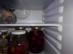 100_0244.JPG