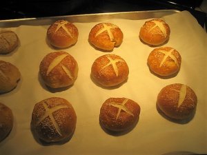 IMG_0366.JPG