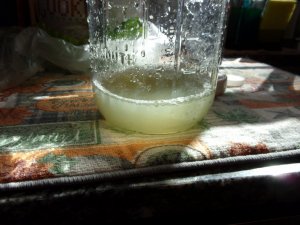 100_0358.JPG