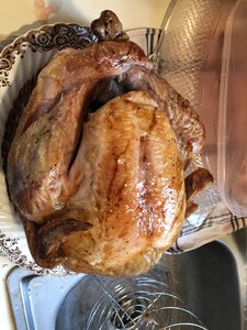 IMG_8067.jpg