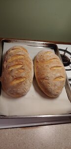 1201191307[1484].jpg