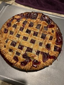 7830F95C-E35B-4FD0-B7C8-60E55FC6DF9B.jpeg