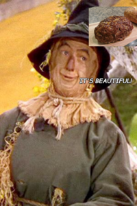 1575434339654.png