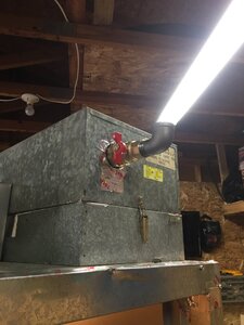 IMG_3231.JPG