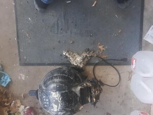 ED1EA301-634D-4730-9547-850B6CF946EC.jpeg ED1EA301-634D-4730-9547-850B6CF946EC.jpeg