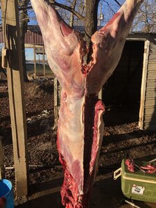 19574100-4166-4DA5-A59F-97A9C469B06F.jpeg
