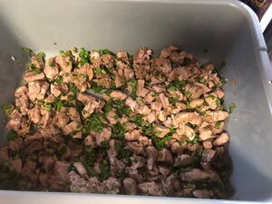 IMG_1848.jpg