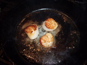 100_0043.JPG