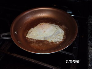 100_0047.JPG