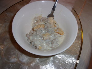 100_0083.JPG