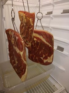 IMG_20200206_174956869.jpg
