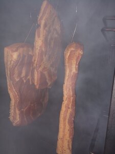 IMG_20200209_080824570.jpg