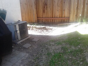 Lead up - Back Yard.jpg