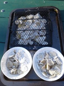 Unfried Pickles.jpg