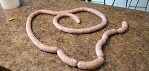 20190927_085039.jpg