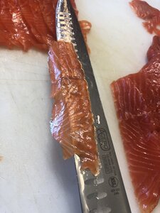 02E252C4-4C50-48AE-B4D3-59A0F5A10427.jpeg