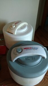 IMG_20200308_180928220.jpg